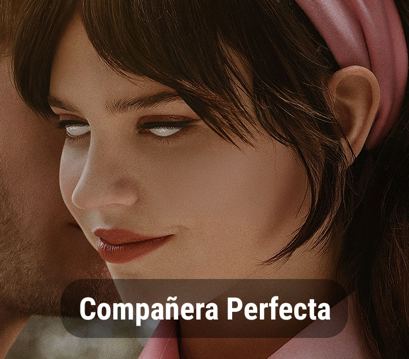 Compañera Perfecta