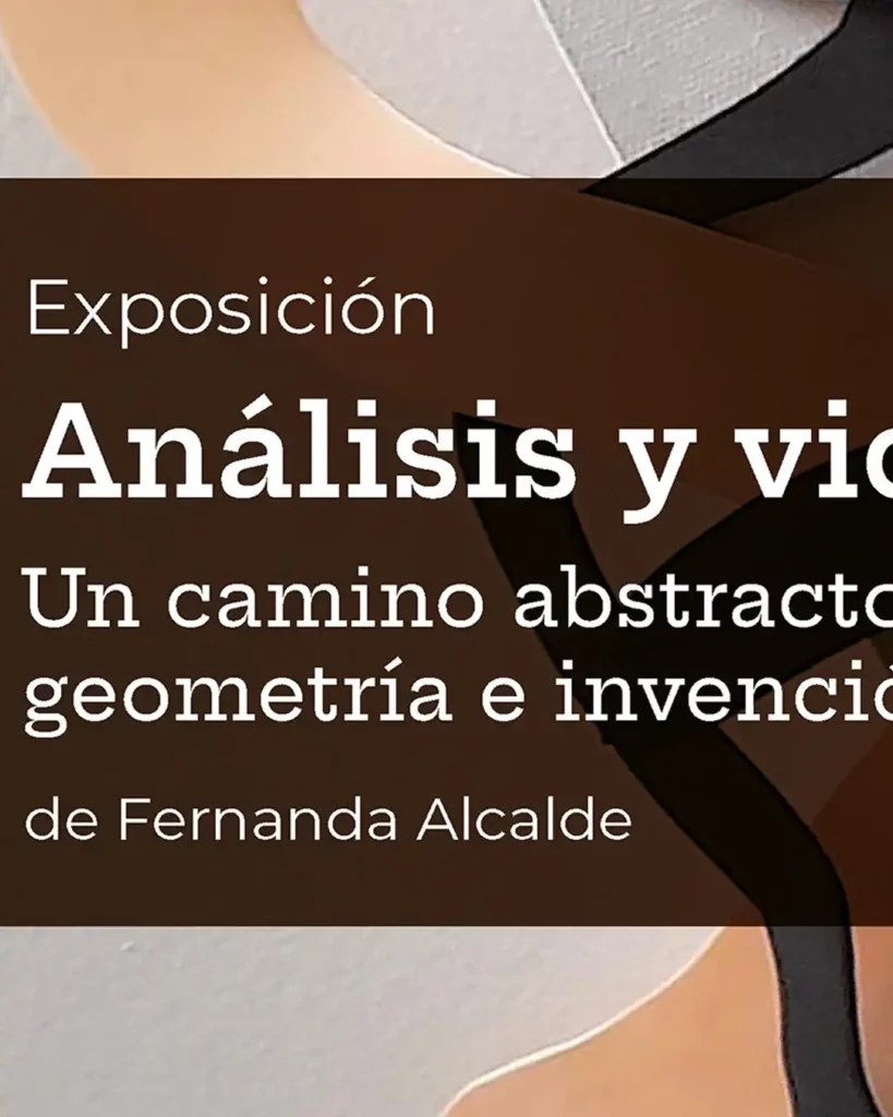 Análisis y vida: un camino abstracto de geometría e invención